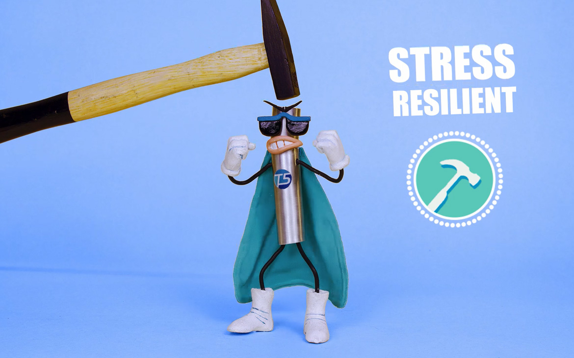 Video Motion Graphic