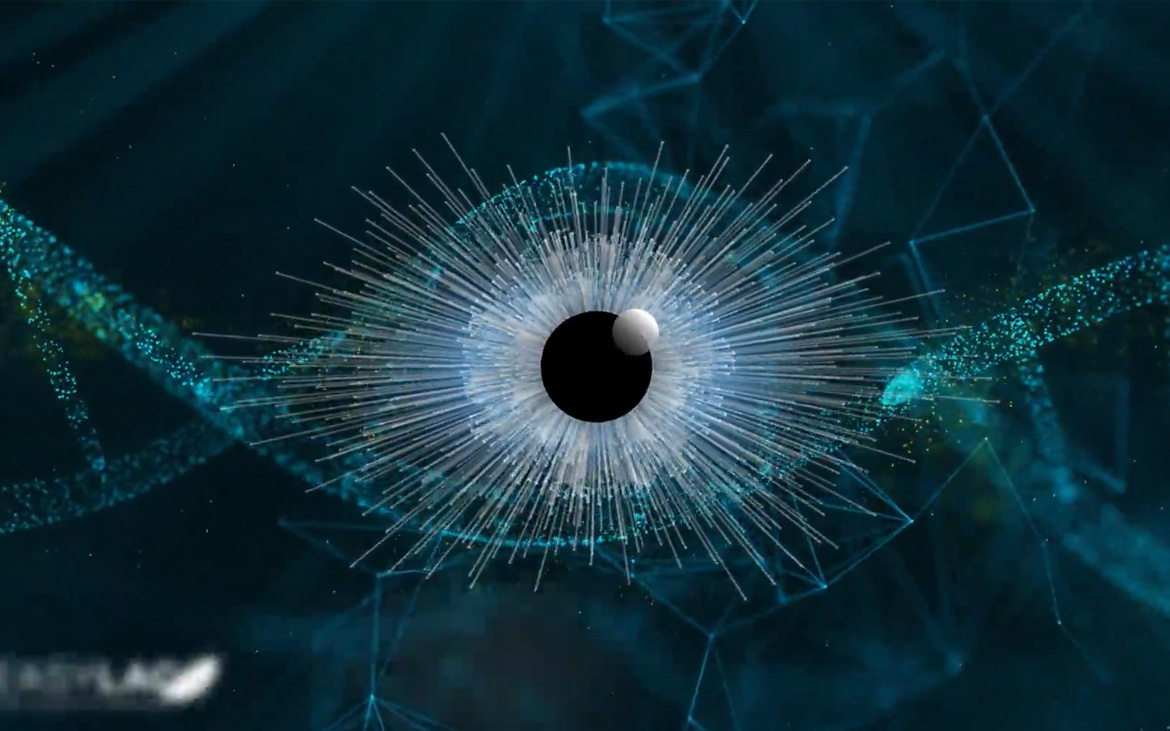 Video presentazione Gruppo